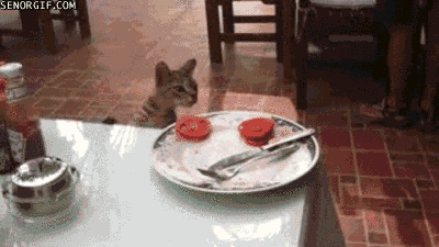 Кот крадет помидор