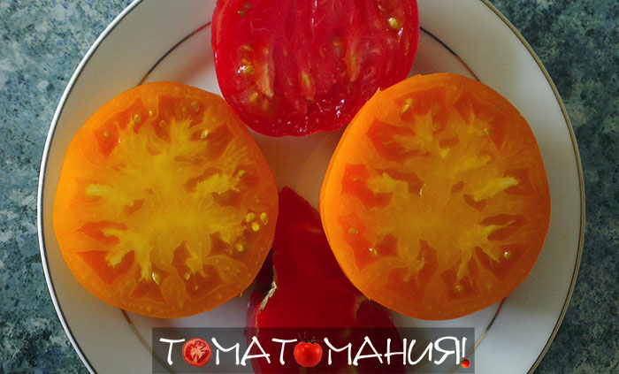 Оранжевый томат